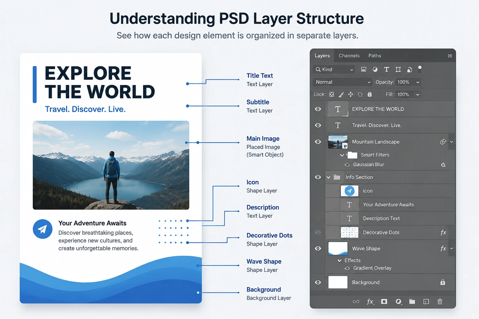 ساختار لایه‌های فایل PSD در نرم افزار فتوشاپ